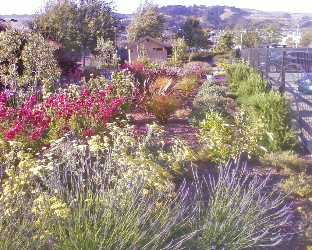 Sculpture Garden in full bloom