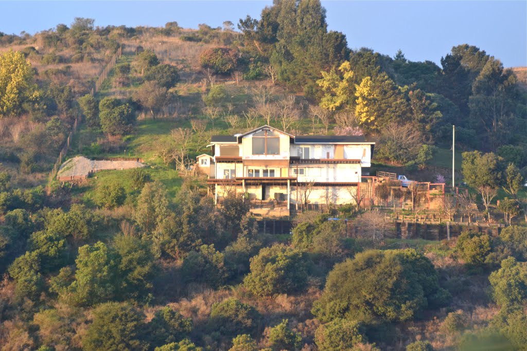 Hillside home