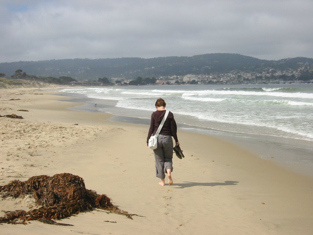 Monterey Beach 06