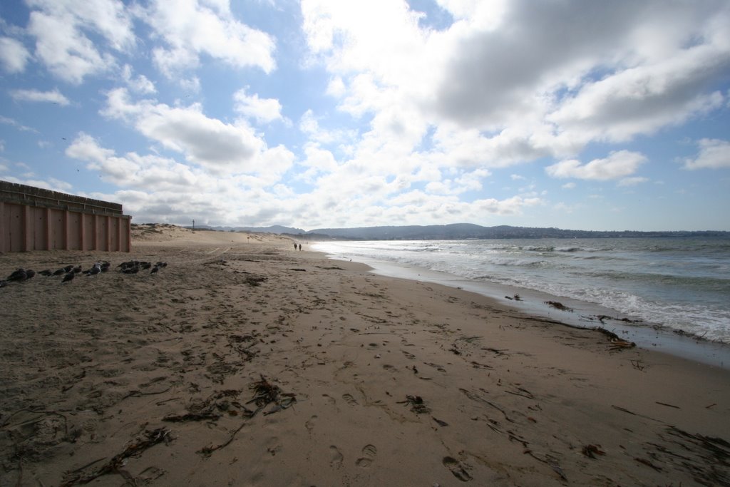 Monterey Beach from Best Western