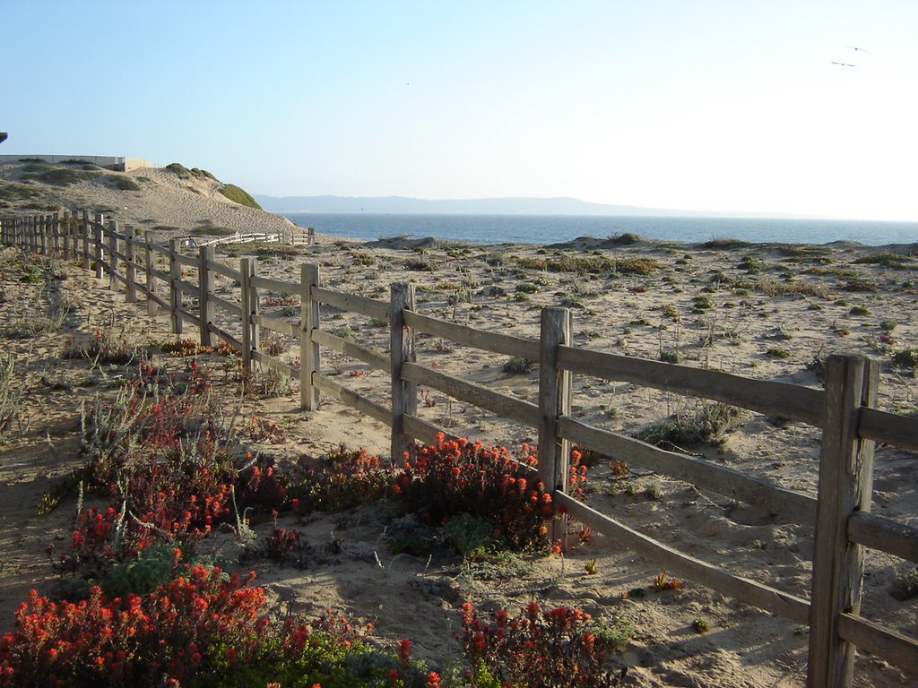 Monterey Bay
