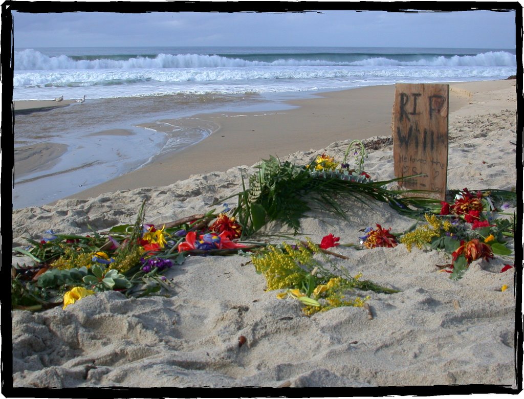 Putting Will to rest - Monterey, California