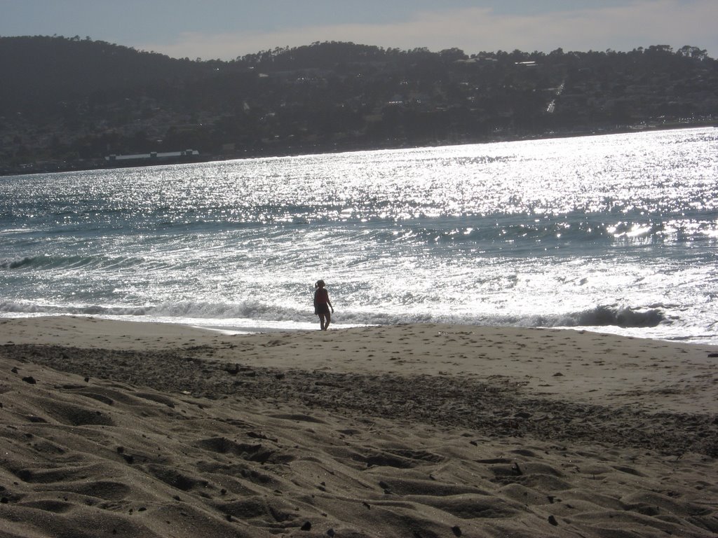 West Coast Splendor