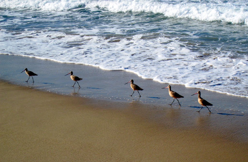 Monterey