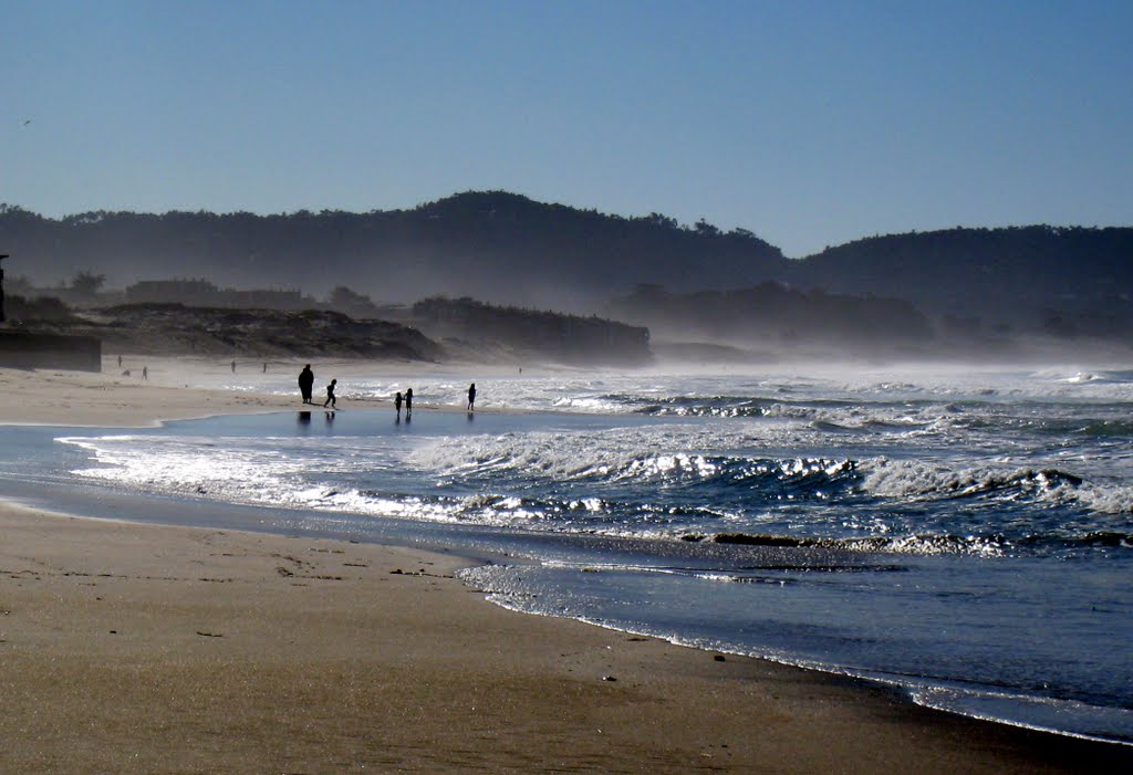 Monterey