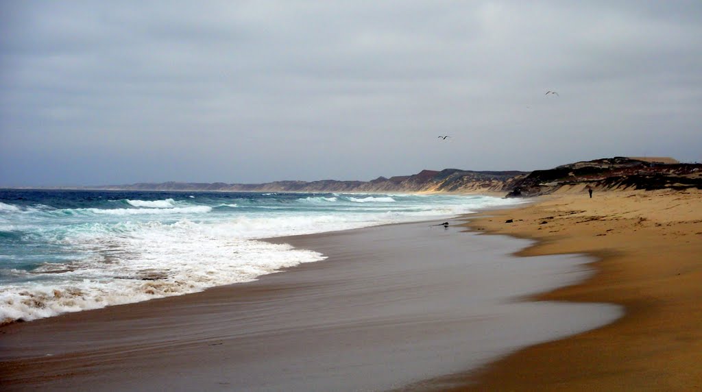 monterey beach
