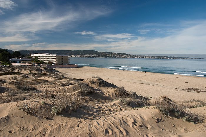 Dunes of Seaside 2