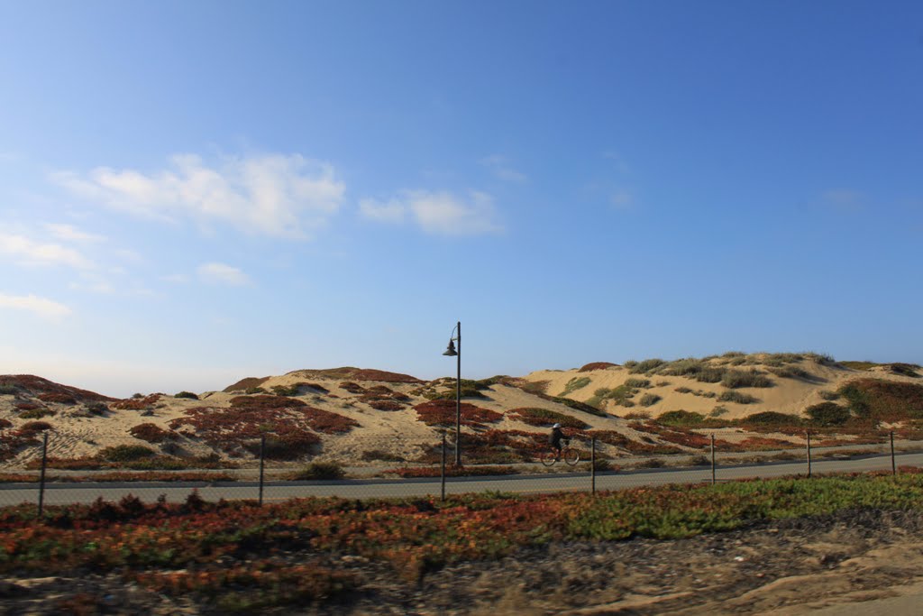 Sand Dunes Monterey