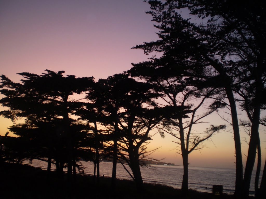 Playa de Monterey