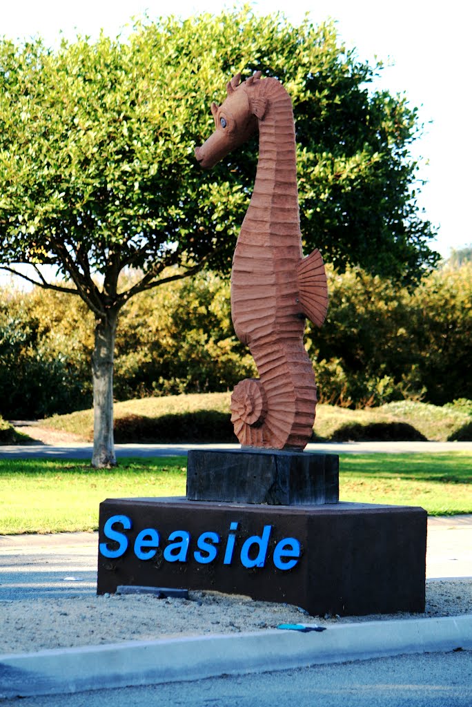 Seaside, Ca.