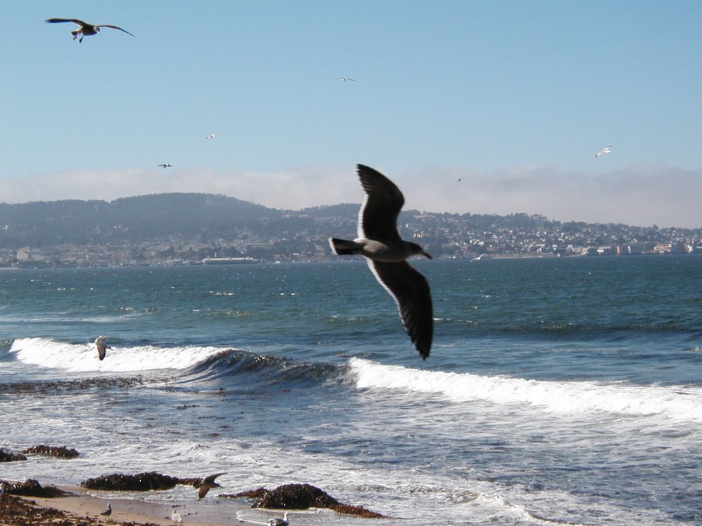 10-15-03 Monterey