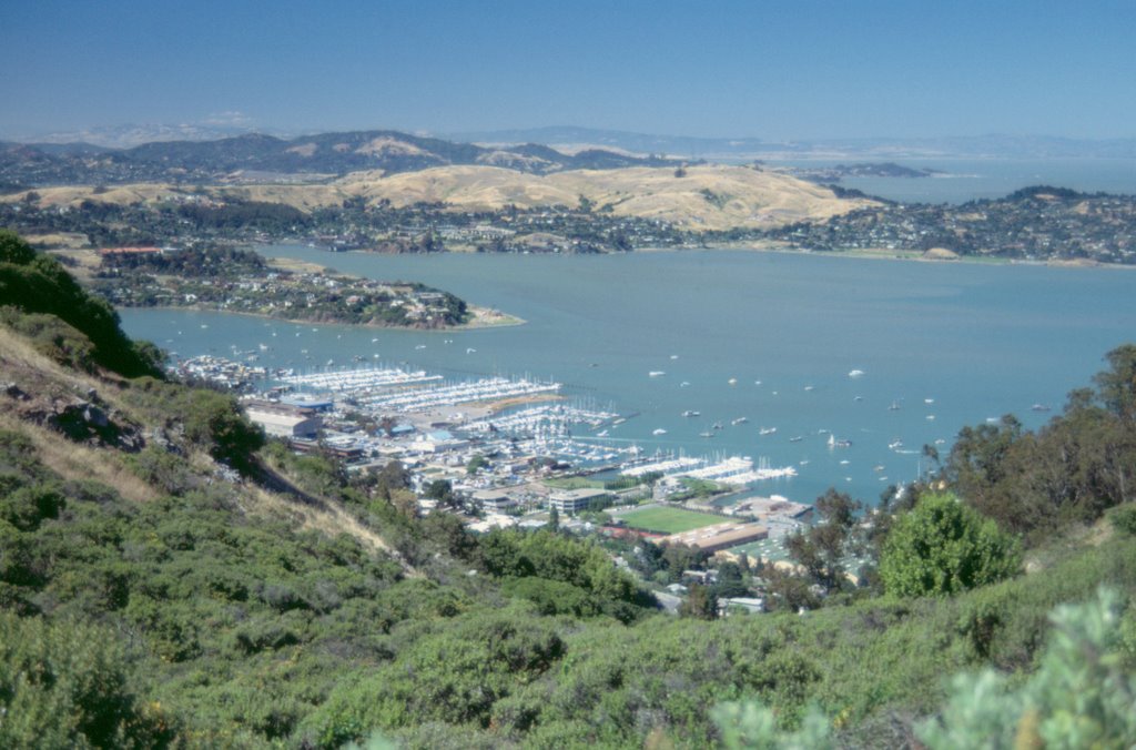 View of Richardson Bay above Sausalito, CA