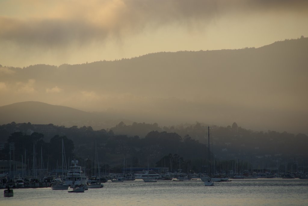 View of Sausalito Bay