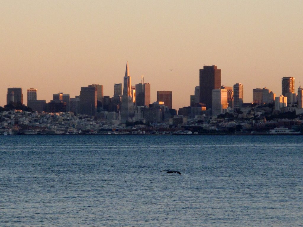 San Francisco & San Francisco Bay Vista, Sausalito, California