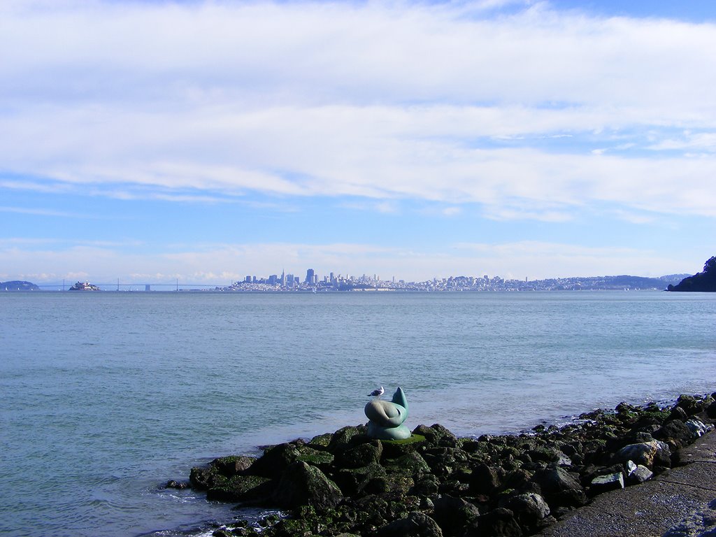 Sausalito Alcatraz San Francisco
