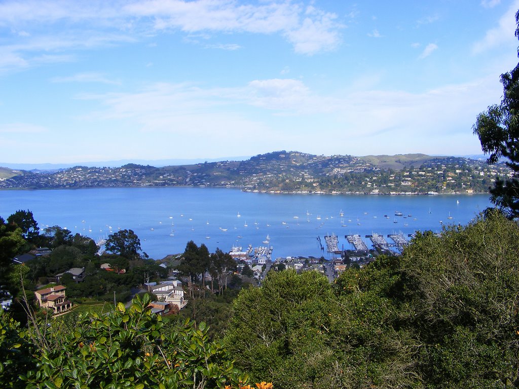 Sausalito San Francisco01