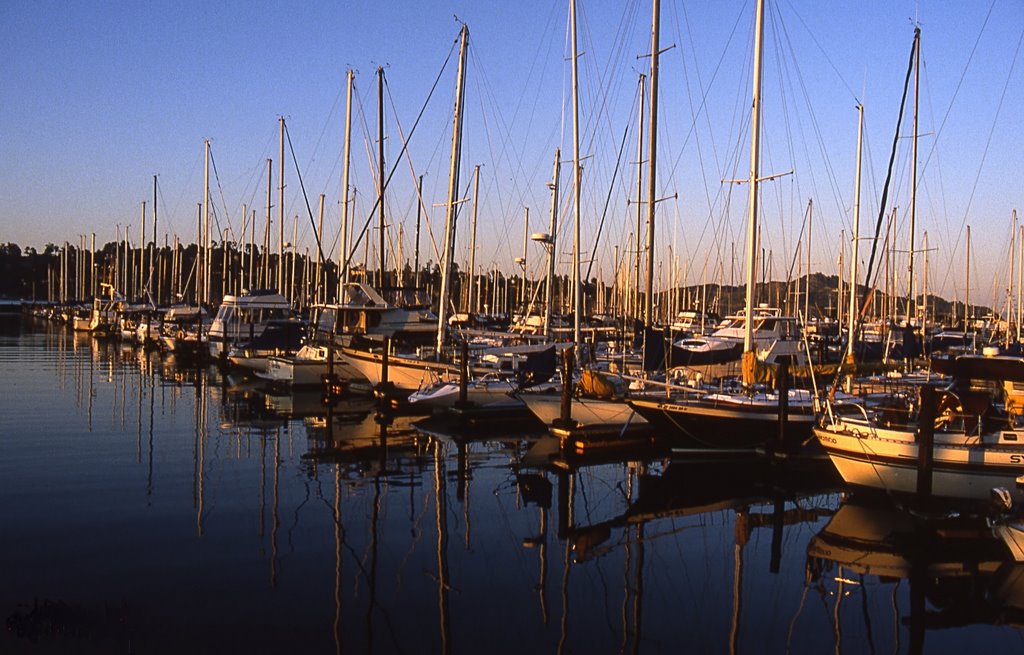 Port of Sausalito