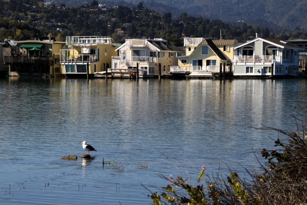 Sausalitos Famous Floating Community, Marin County, California