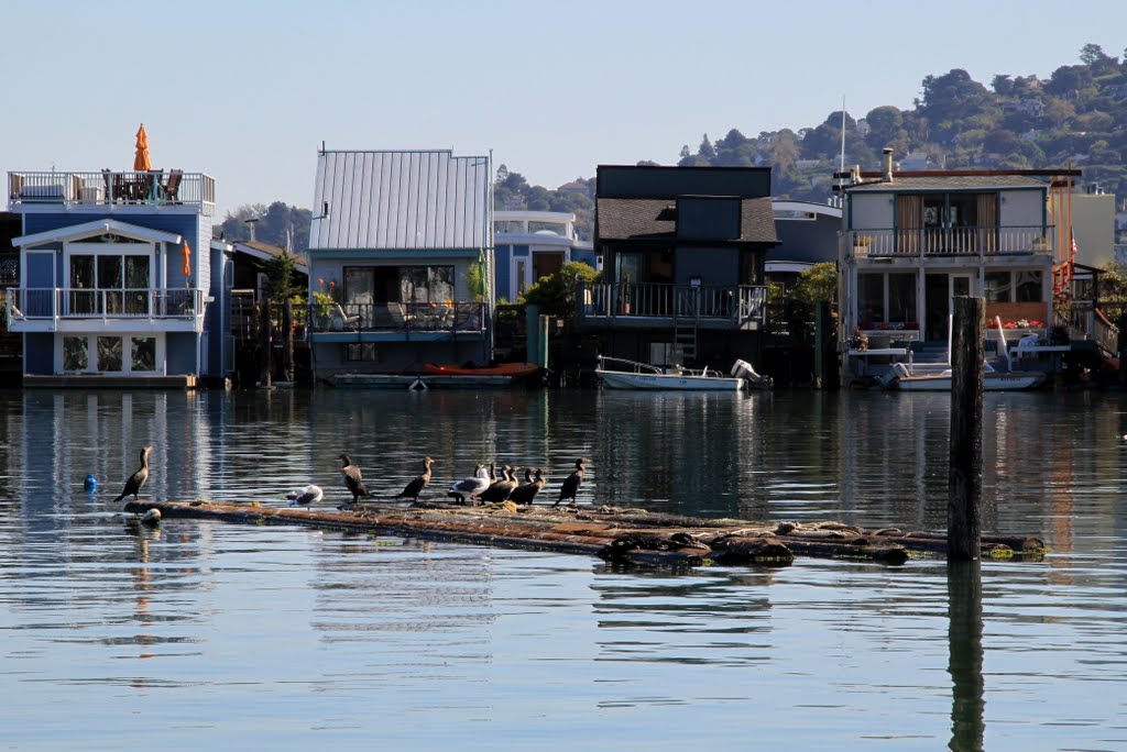 Residents of Richardson Bay, Sausalito, California