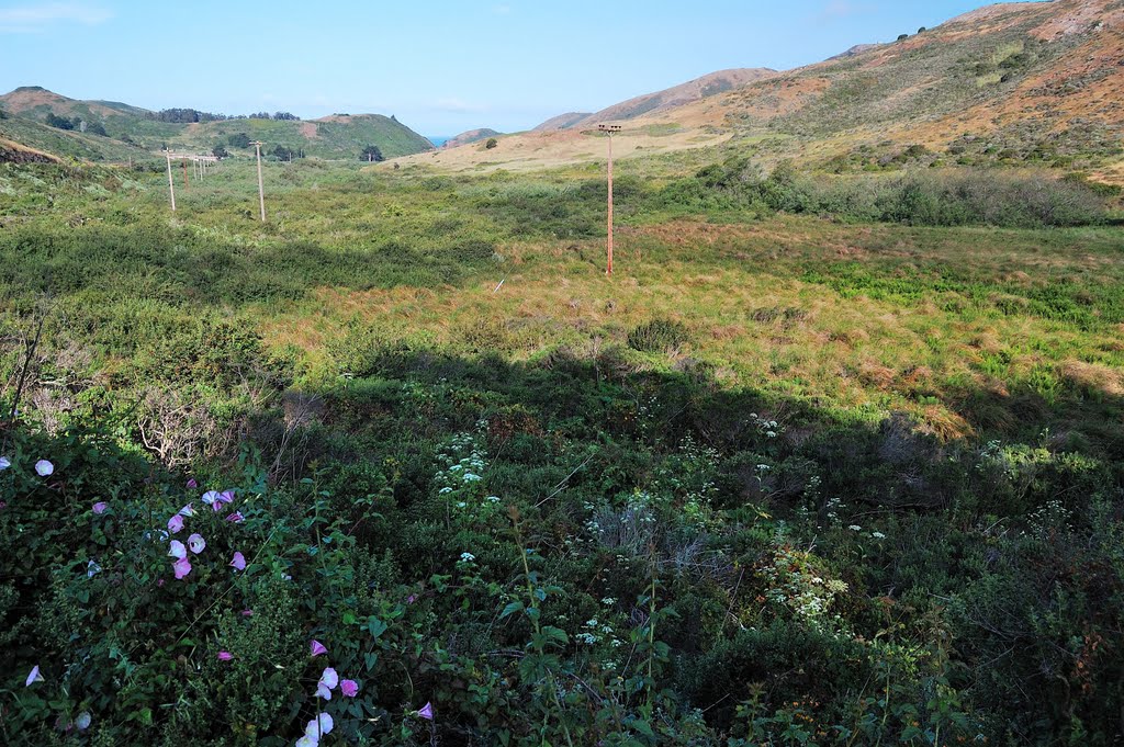 the valley Marin Headlands, Marin, California