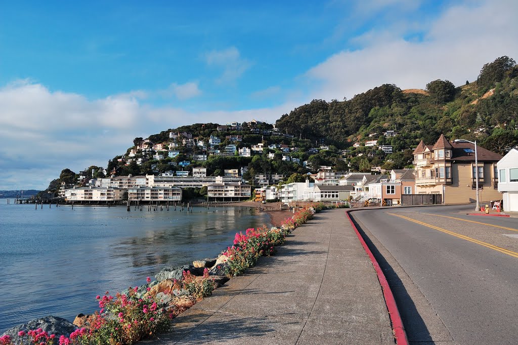 Houses nestled on the hill and the waterfront Sausalito, Marin, California