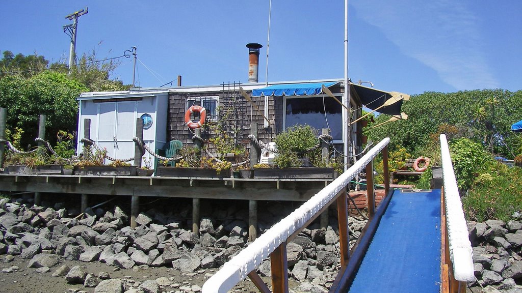 California / Sausalito / CassMarina