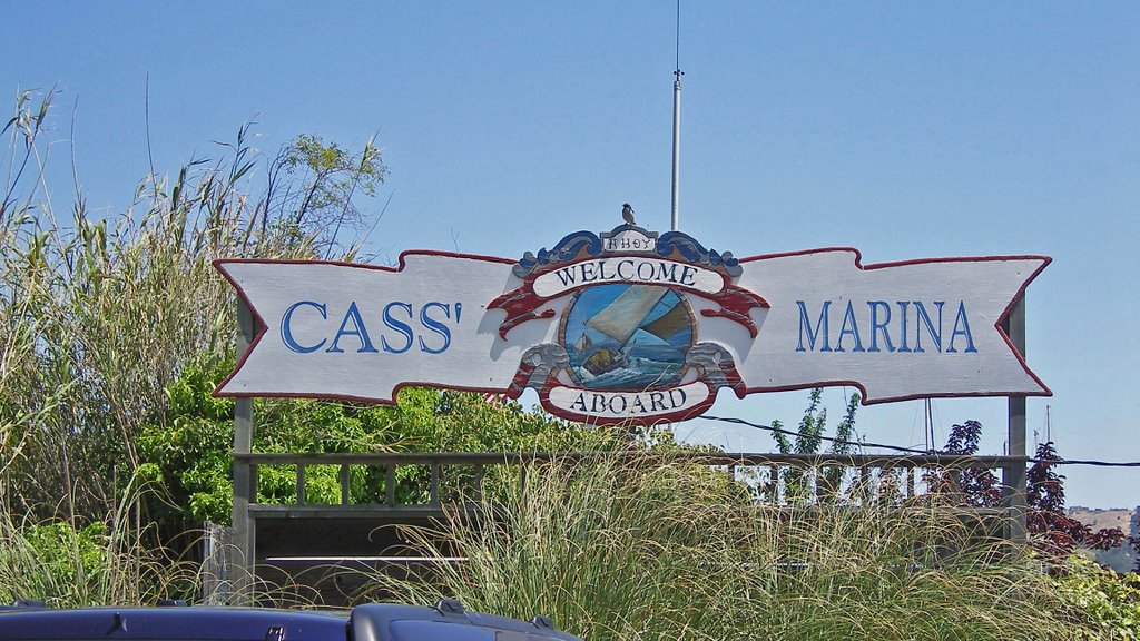 California / Sausalito / CassMarina