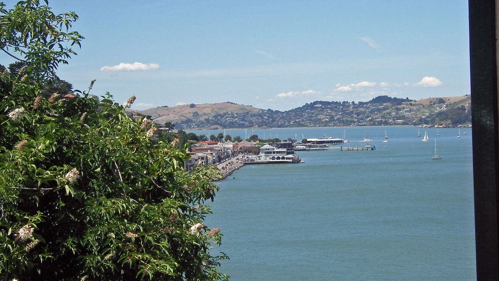 California / Sausalito / view to Harbor