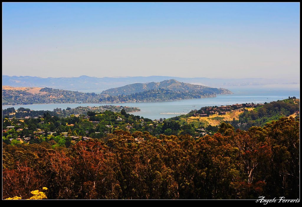 Sausalito harbour