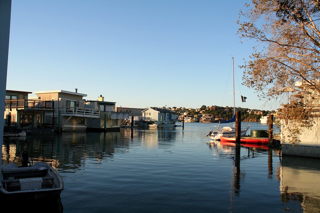 Sausalito; Houseboats, peaceful view