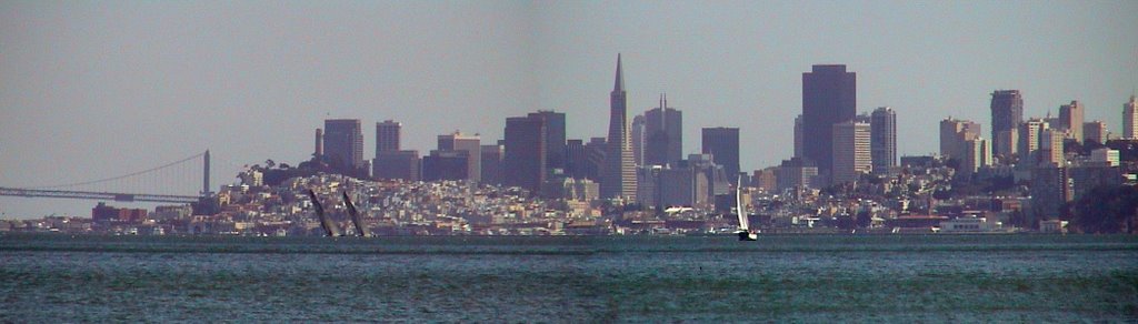 SF from Sausalito