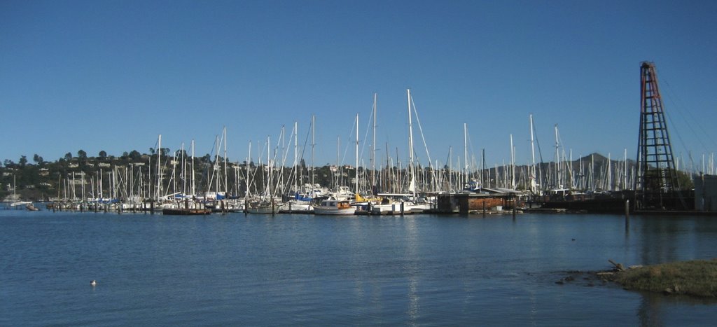 Sausalito marina 2