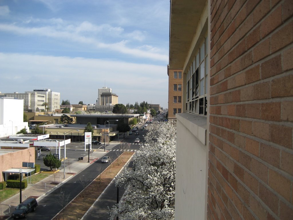 From the 5th Floor of the Fresno Metropolitan Museum