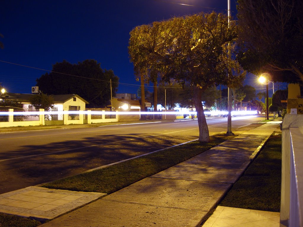 av. Miguel negrete
