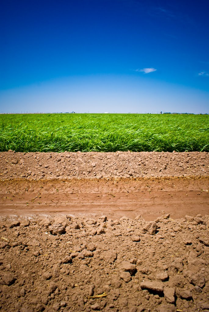 Tierra, Agua, Plantio, Cielo