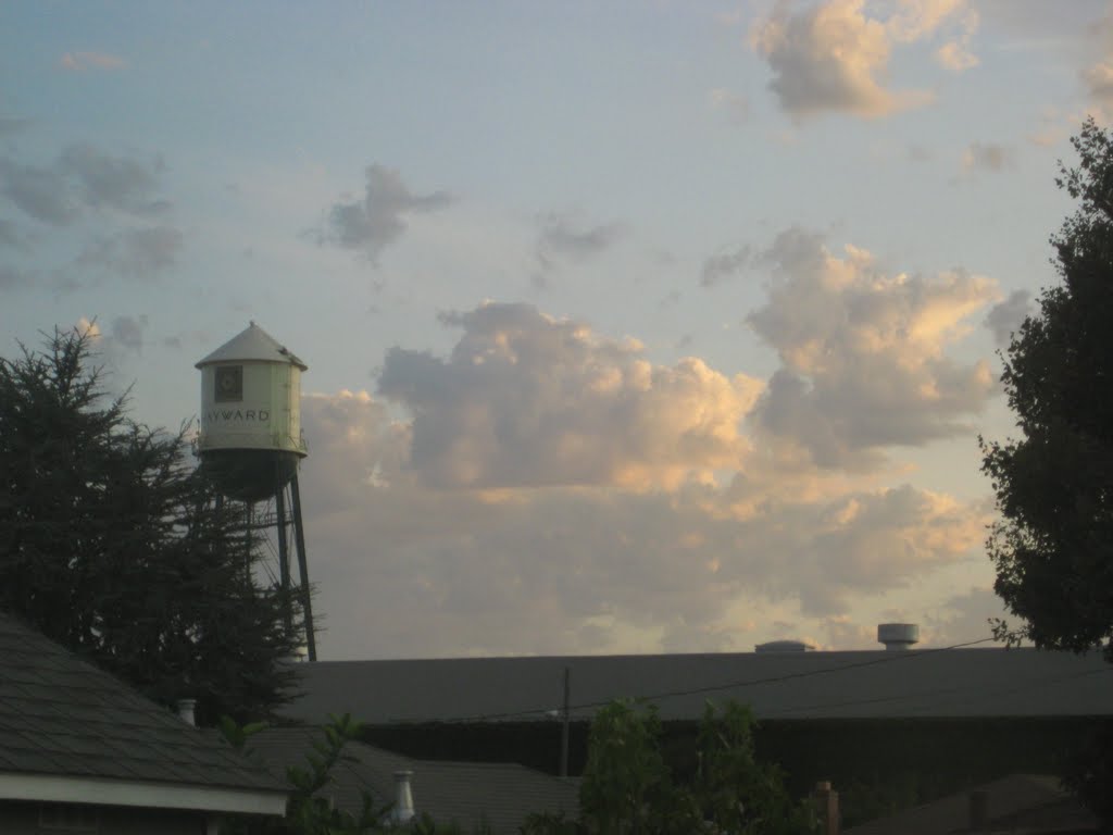 Hayward Tank at sunset