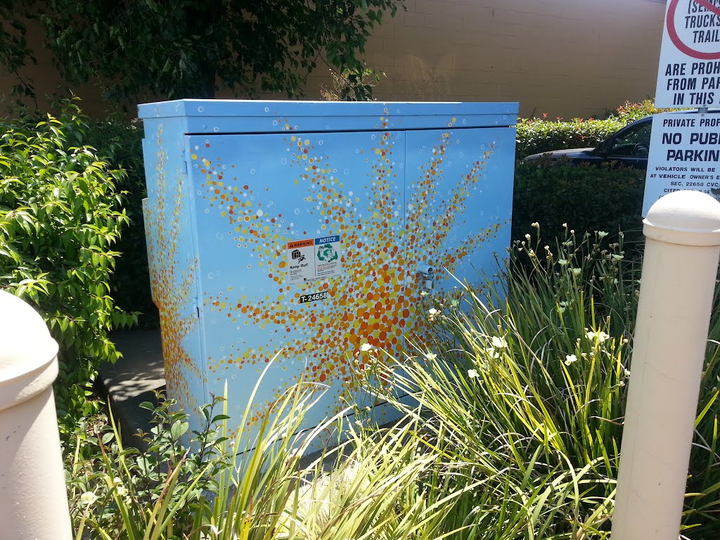 Utility Box Art of Hayward