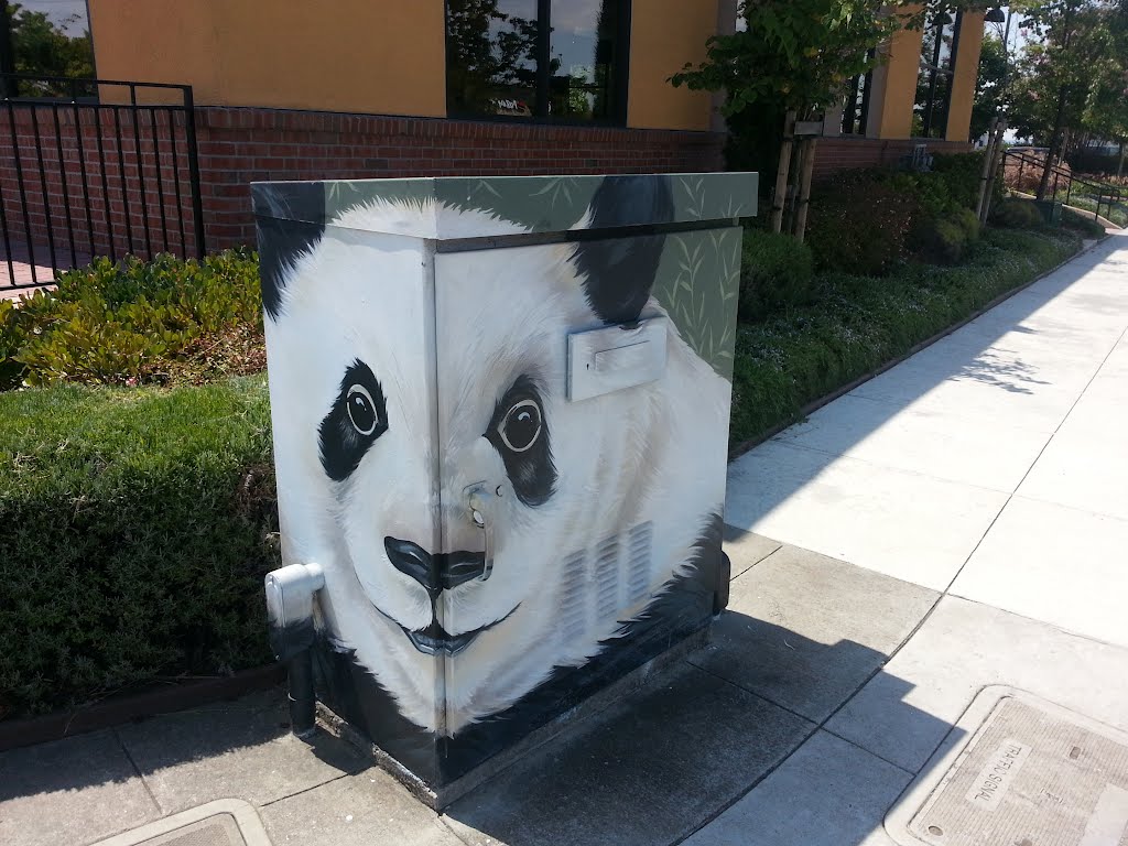 Utility Box Art of Hayward