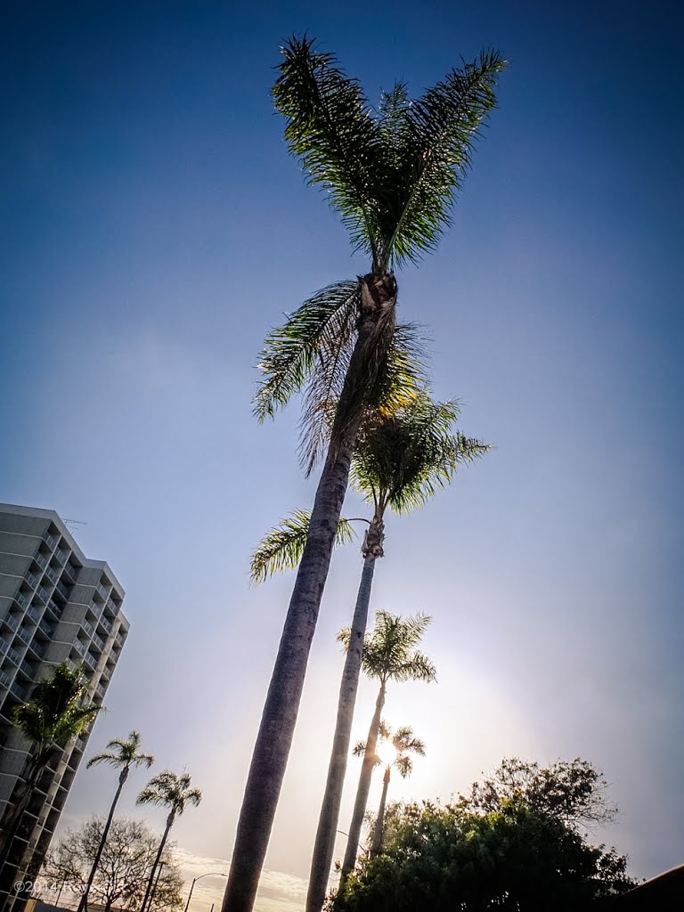 Chula Vista