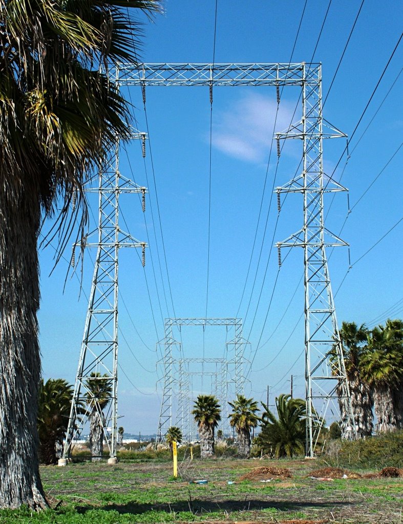 Power Lines, Pylons, & Palm Trees, Chula Vista, California