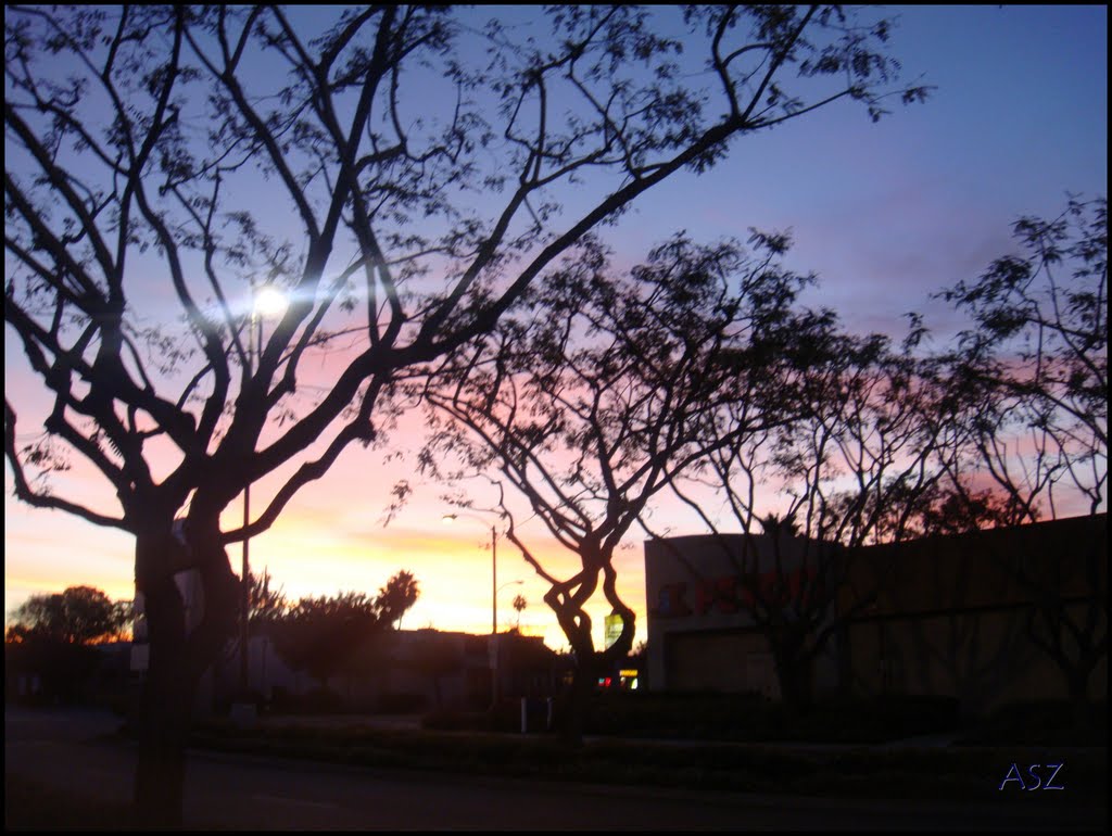 Amanecer Urbano VI