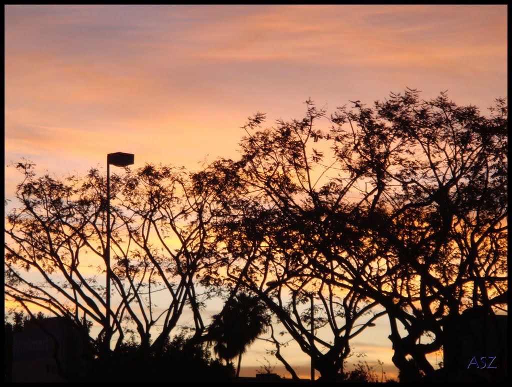 Amanecer Urbano I