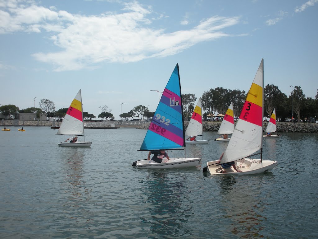 Sailing in the Harbor