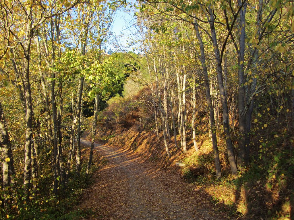 Hillside Natural Area