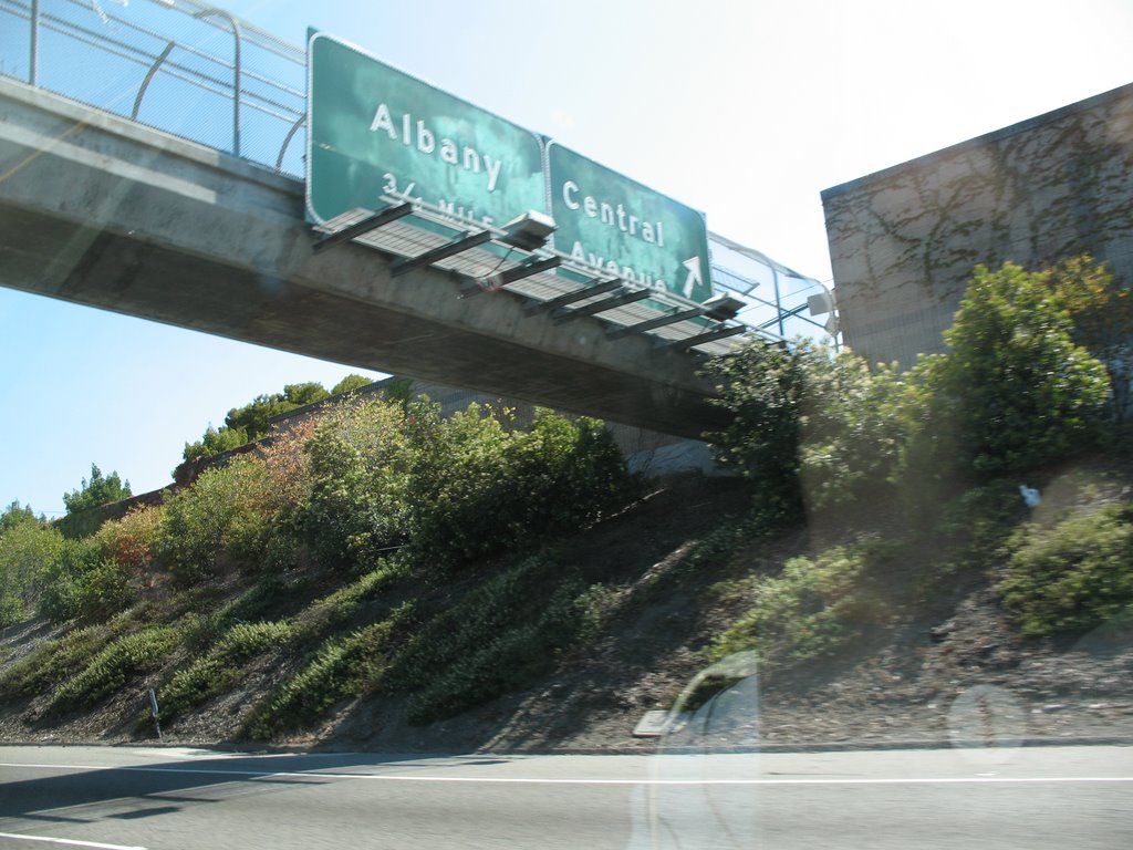 Central Avenue, Albany
