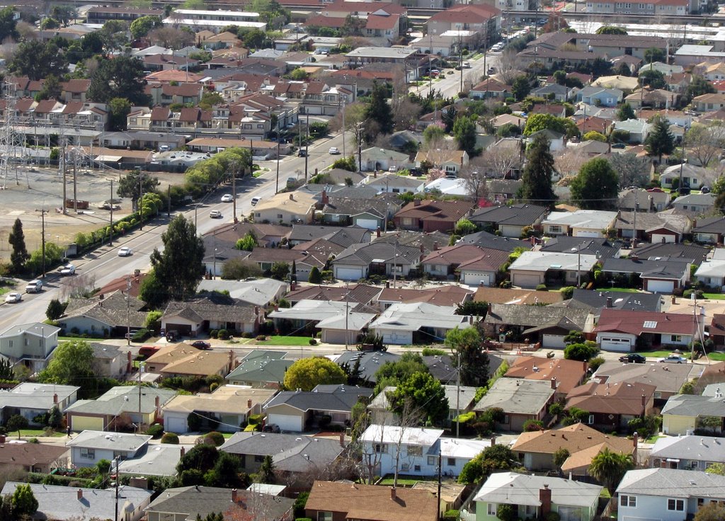 schmidt lane