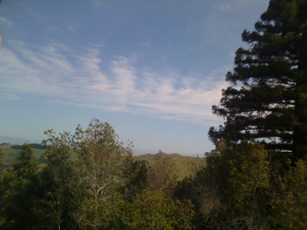 A clear, blue sky over Wildcat Canyon.