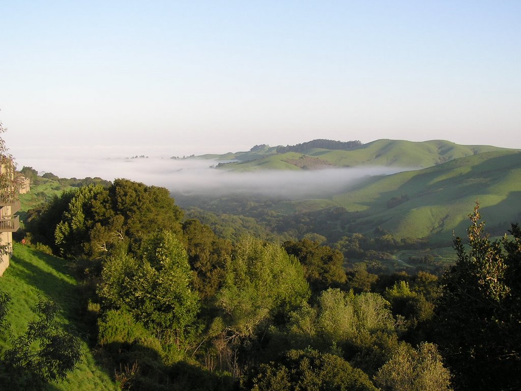 Wildcat Canyon -2 Richmond, California 2007