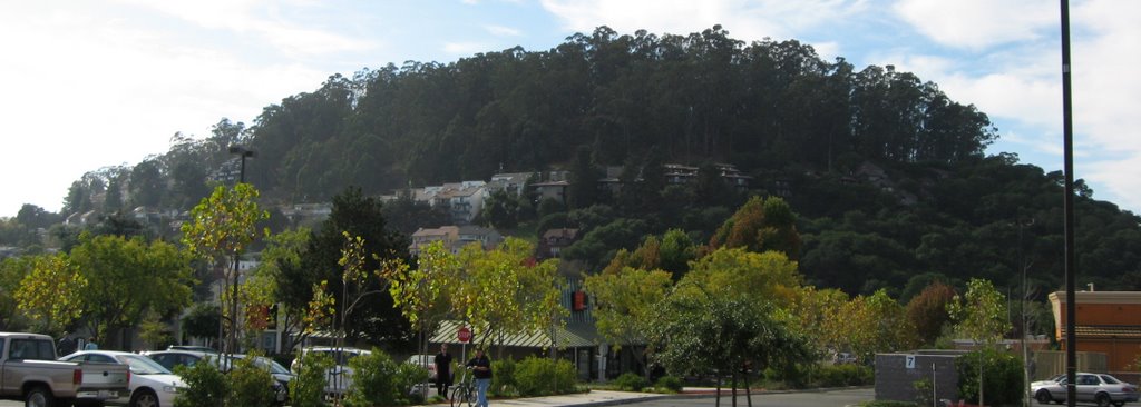 Albany Hill from Plaza