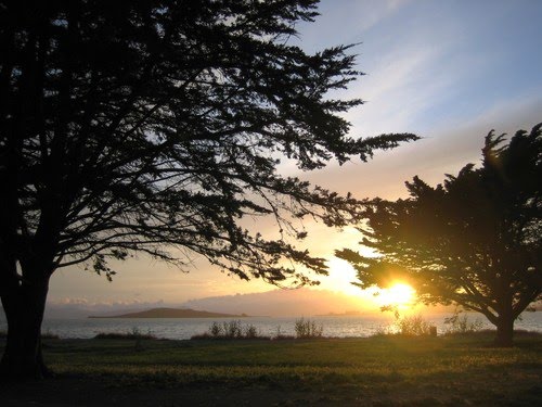 East Bay Regional Park District